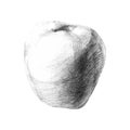 Illustration with a pencil sketch apple