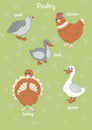 Illustration of pet birds stickers. Happy and joyful birds are set in a flat style. Farm