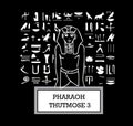 Illustration of Pharaoh Thutmose III Royalty Free Stock Photo