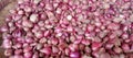 Illustration photo of a pile of red onions