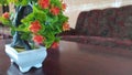Illustration Photography of Imitation Flowers. Artificial flowers on the table.