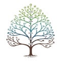 Illustration of a phylogenetic tree stylized like an actual tree representing Royalty Free Stock Photo