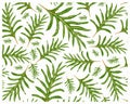 Illustration of Phymatosorus Scolopendria or Monarch Ferns Background Royalty Free Stock Photo