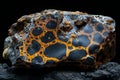 A piece of meteorite with leopard print patterns, featuring dark brown and orange colors against a black background. the surf Royalty Free Stock Photo