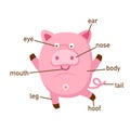 Pig vocabulary part of body.vector