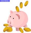 Piggy bank with dollar