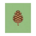 Illustration of a pine cone is centered against a solid green Royalty Free Stock Photo