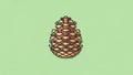 Illustration of a pine cone centered on a light green backgroun Royalty Free Stock Photo
