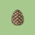 Illustration of a pine cone centered on a light green background Royalty Free Stock Photo