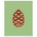 An illustration of a pine cone centered on a light green background Royalty Free Stock Photo