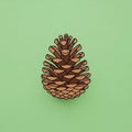 Illustration of a pine cone centered on a light green background Royalty Free Stock Photo