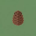 Illustration of a pine cone centered on a plain green backgroun Royalty Free Stock Photo