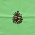 Illustration of a pine cone centered on a solid green background Royalty Free Stock Photo