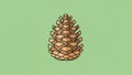 Illustration of a pine cone depicted on a solid pale green background Royalty Free Stock Photo