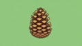 In shades of brown the cone is centered on a plain green background providing Royalty Free Stock Photo