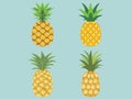 Tropical Treasure - Illustration of a Pineapple Royalty Free Stock Photo