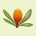 Illustration Of Pineapple Tree Isolated