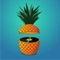 Summer music party. Illustration with pineapple and vinyl disc. Royalty Free Stock Photo