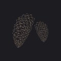 Illustration of pinecones isolated on black