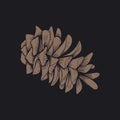 Illustration of pinecones isolated on black