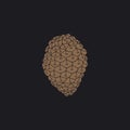 Illustration of pinecones isolated on black