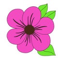 Pink coloured flower with leaves