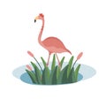 Illustration of pink flamingo standing on puddle and flower grass