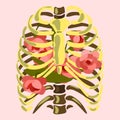 Illustration of pink flowers inside the chest, human skeleton. Flowers growing inside a person. Flowers of life, beauty