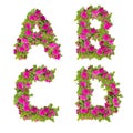 Illustration of pink wild rose flowers alphabet - letters A-D