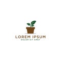 Plant pot logo design template