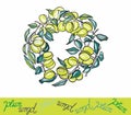 Illustration of a plum - Plum with leaves on a white background. For printing on fabric, for labels and packaging.