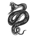 Illustration of poisonous snake in engraving style. Design element for logo, label, emblem, sign, badge.