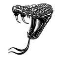 Illustration of poisonous snake head in engraving style. Design element for logo, label, sign, poster, t shirt. Royalty Free Stock Photo