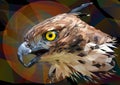 Illustration polygonal drawing of the Changeable Hawk Eagle