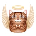 Illustration of a portrait of an angel cat with wings and a halo on the head. The cat has folded its legs in prayer Royalty Free Stock Photo