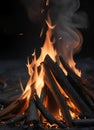 portrait of a burning campfire at night