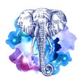 Illustration portrait of elephant