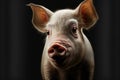 Portrait of the funny little pig, creative digital illustration painting Royalty Free Stock Photo