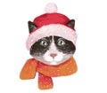 Illustration portrait of a winter cat dressed warmly, wearing a hat with bubo and a warm scarf Royalty Free Stock Photo