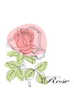 illustration, postcard, contour pink rose on a white background