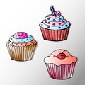 illustration, postcard, drawn contour colored cupcakes, food industry