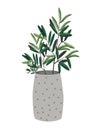 Potted plants illustration