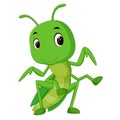 Praying mantis cartoon