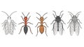 Diverse ant species depicted in a cartoonish illustration on white background Royalty Free Stock Photo