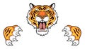 Tiger head and claws