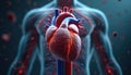 Illustration presents realistic 3D render of human heart. Visual details include blood vessels arterial structure, surrounding Royalty Free Stock Photo