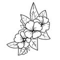 illustration primrose drawing, easy primrose flower drawing, primrose line drawing, wild primrose drawing,