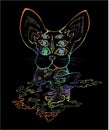 An illustration of a psychodelic cat. Color picture of a cat.