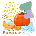 Illustration of pumpkin and couple of slices