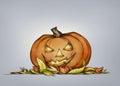Pumpkin with grim face expression in autumn leaves Royalty Free Stock Photo